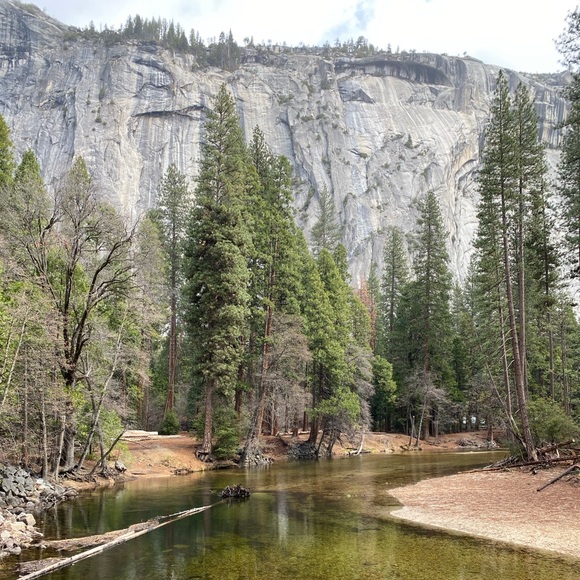 Meet your Posher, Tina - Picture 4 of 6